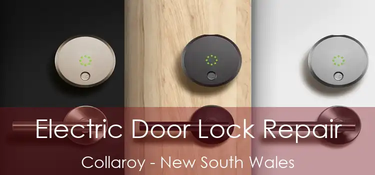 Electric Door Lock Repair Collaroy - New South Wales