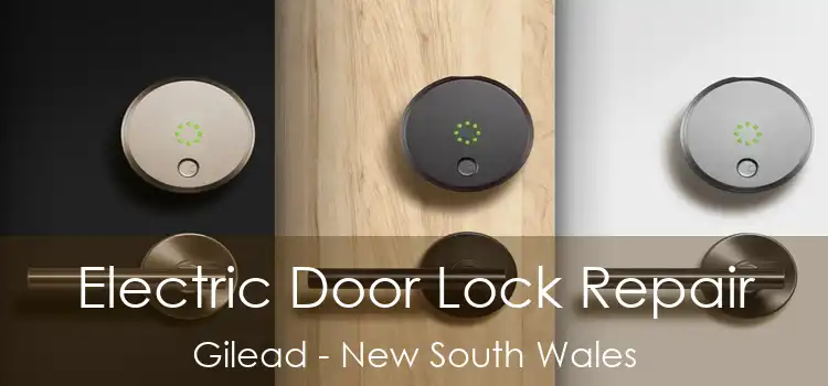 Electric Door Lock Repair Gilead - New South Wales
