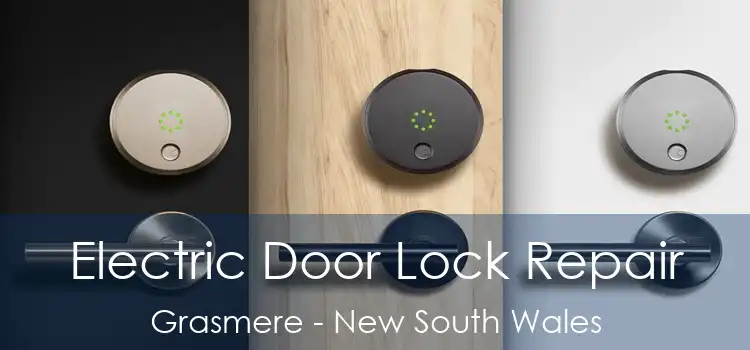Electric Door Lock Repair Grasmere - New South Wales