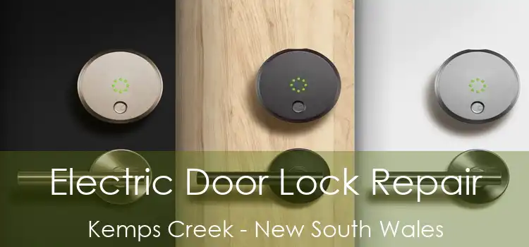 Electric Door Lock Repair Kemps Creek - New South Wales