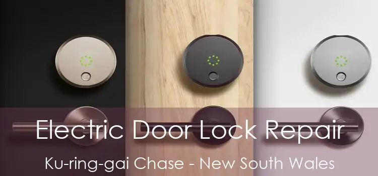 Electric Door Lock Repair Ku-ring-gai Chase - New South Wales