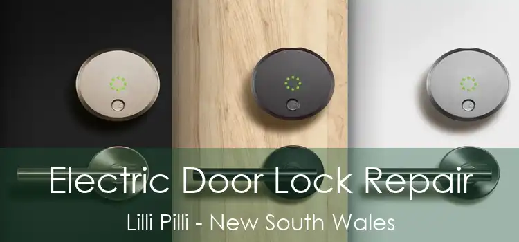 Electric Door Lock Repair Lilli Pilli - New South Wales