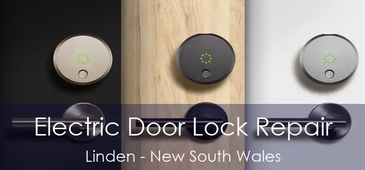 Electric Door Lock Repair Linden - New South Wales