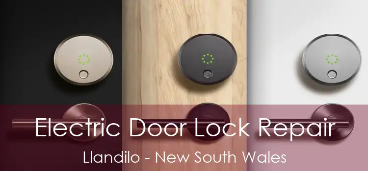 Electric Door Lock Repair Llandilo - New South Wales