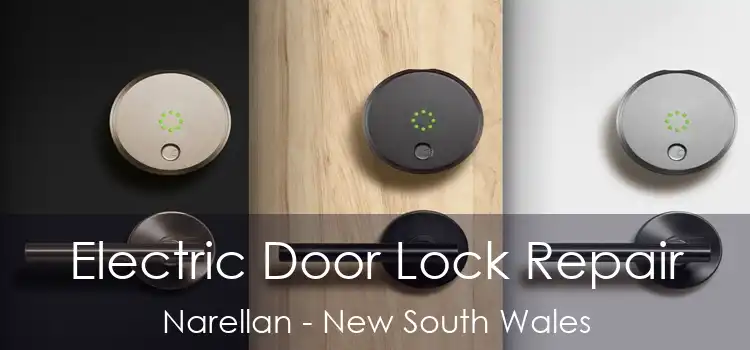 Electric Door Lock Repair Narellan - New South Wales