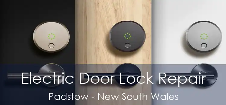 Electric Door Lock Repair Padstow - New South Wales