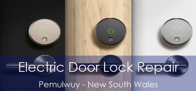 Electric Door Lock Repair Pemulwuy - New South Wales