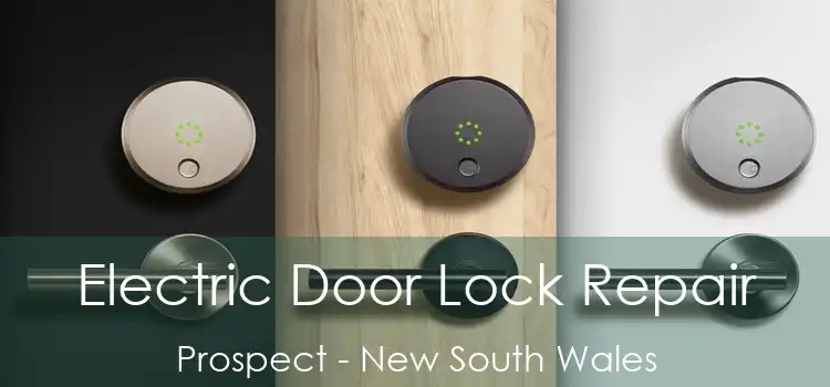 Electric Door Lock Repair Prospect - New South Wales