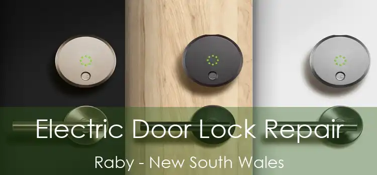 Electric Door Lock Repair Raby - New South Wales