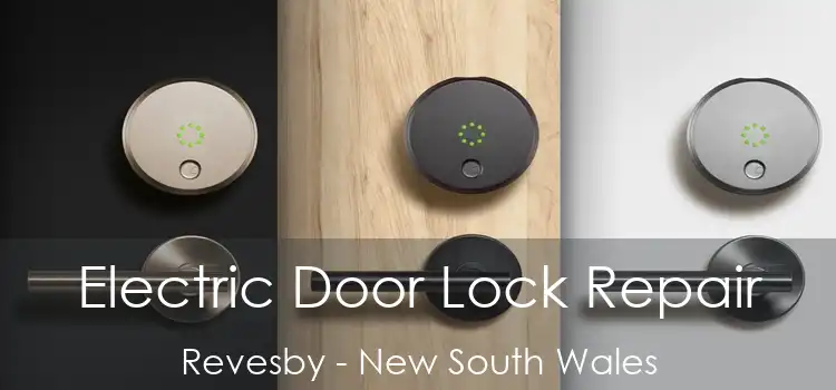 Electric Door Lock Repair Revesby - New South Wales