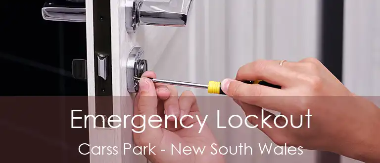 Emergency Lockout Carss Park - New South Wales