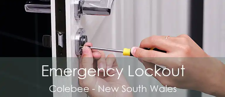 Emergency Lockout Colebee - New South Wales