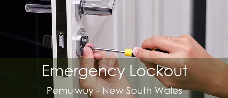 Emergency Lockout Pemulwuy - New South Wales
