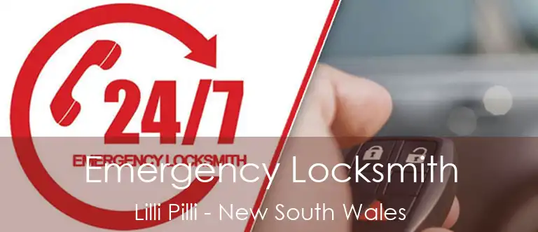 Emergency Locksmith Lilli Pilli - New South Wales