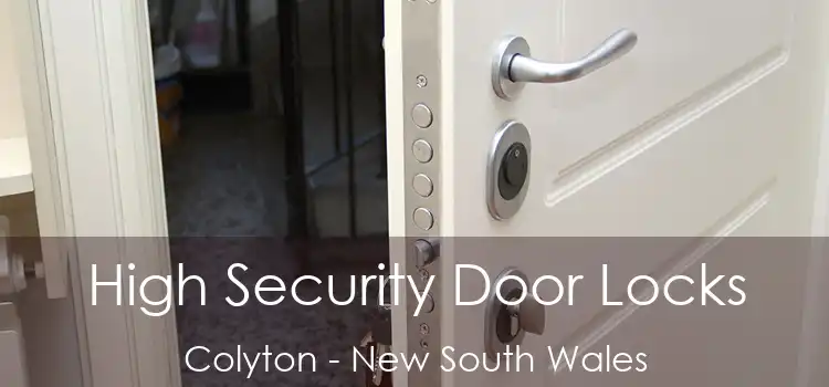 High Security Door Locks Colyton - New South Wales