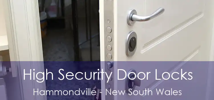 High Security Door Locks Hammondville - New South Wales