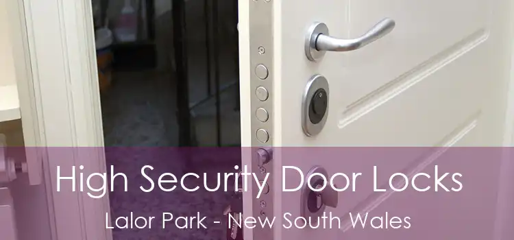 High Security Door Locks Lalor Park - New South Wales