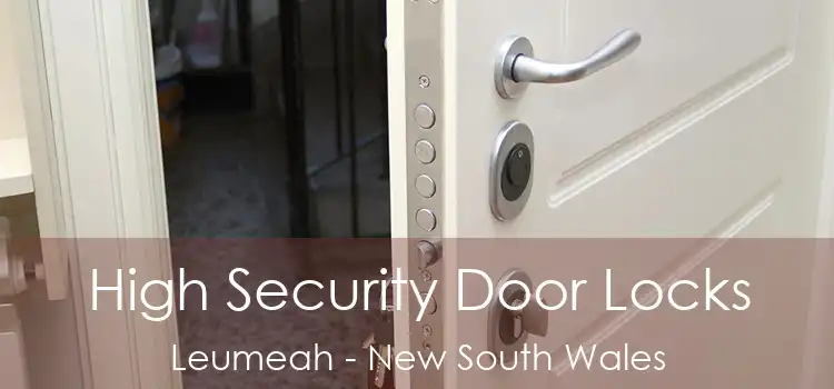 High Security Door Locks Leumeah - New South Wales