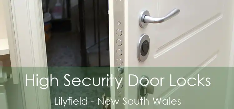 High Security Door Locks Lilyfield - New South Wales