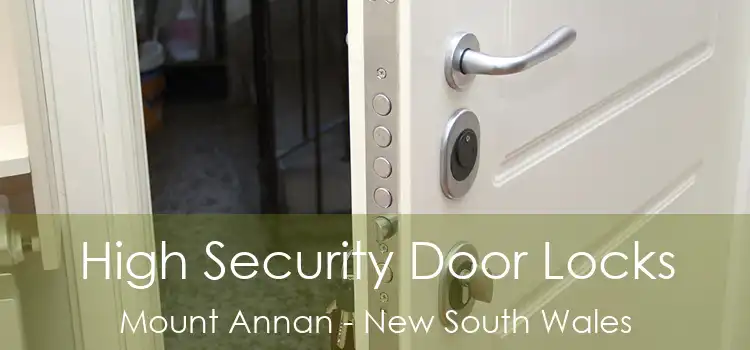 High Security Door Locks Mount Annan - New South Wales