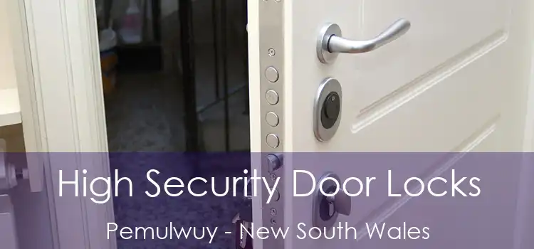 High Security Door Locks Pemulwuy - New South Wales