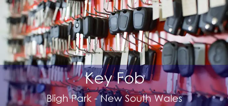 Key Fob Bligh Park - New South Wales
