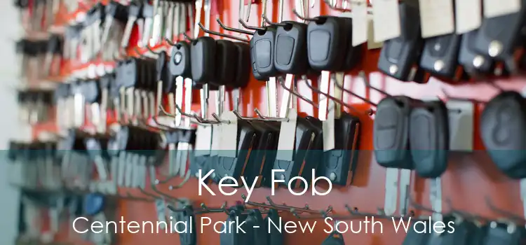 Key Fob Centennial Park - New South Wales