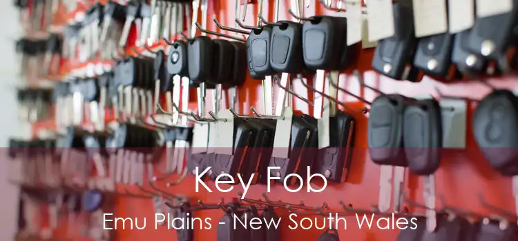 Key Fob Emu Plains - New South Wales