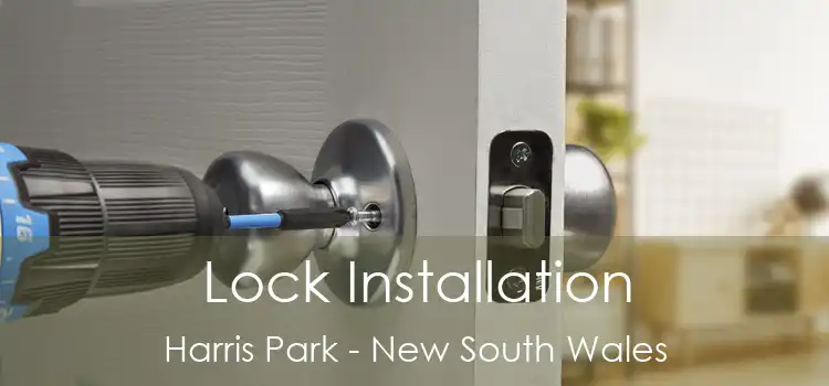 Lock Installation Harris Park - New South Wales