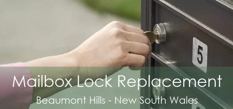 Mailbox Lock Replacement Beaumont Hills - New South Wales