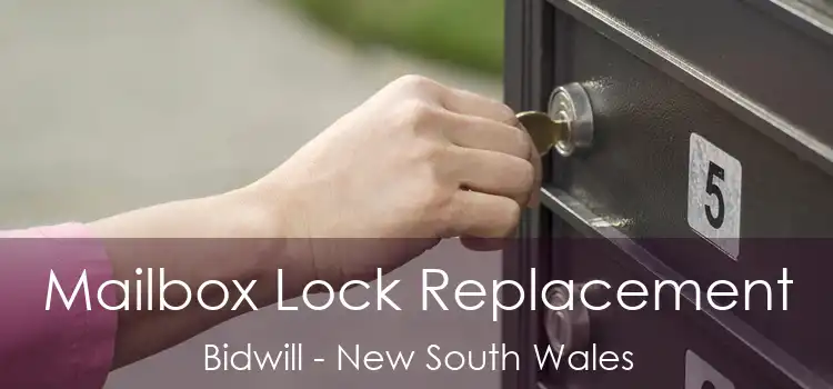 Mailbox Lock Replacement Bidwill - New South Wales