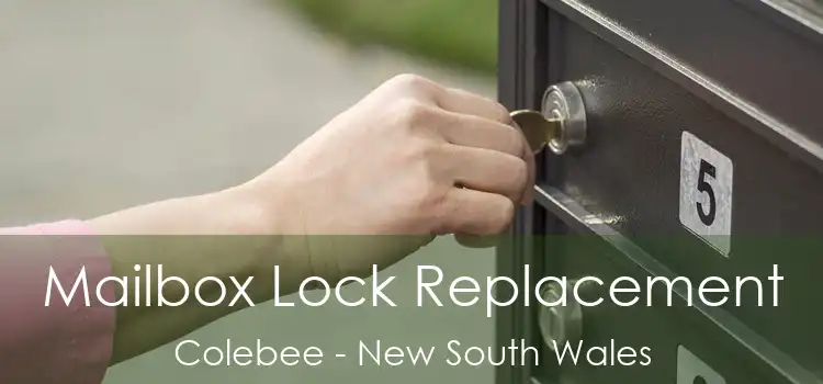 Mailbox Lock Replacement Colebee - New South Wales