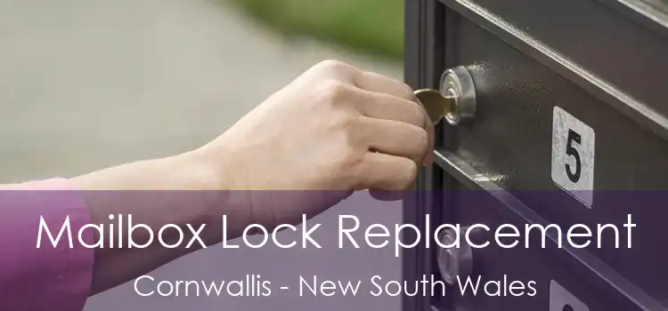 Mailbox Lock Replacement Cornwallis - New South Wales