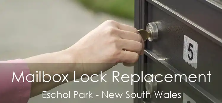 Mailbox Lock Replacement Eschol Park - New South Wales