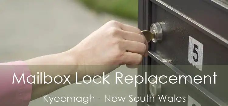 Mailbox Lock Replacement Kyeemagh - New South Wales