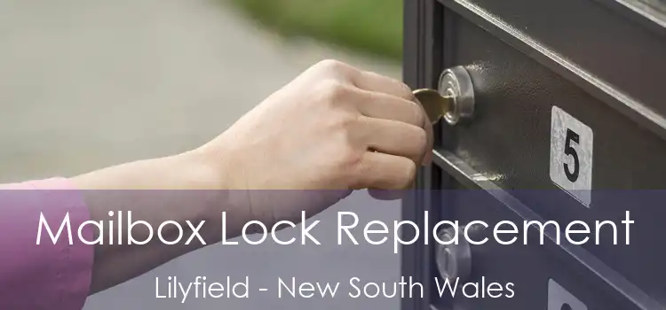 Mailbox Lock Replacement Lilyfield - New South Wales