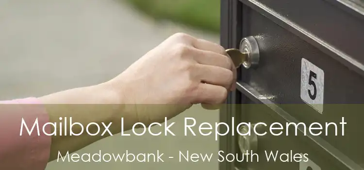 Mailbox Lock Replacement Meadowbank - New South Wales