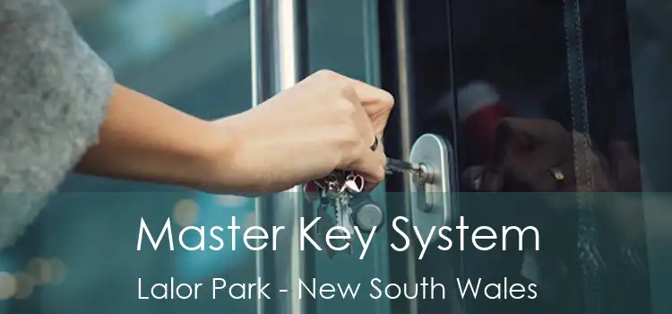 Master Key System Lalor Park - New South Wales