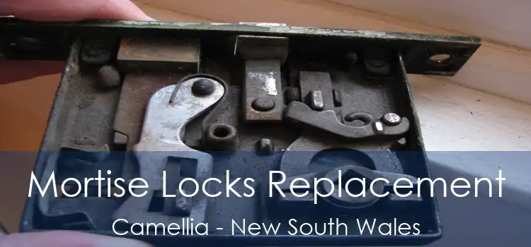 Mortise Locks Replacement Camellia - New South Wales