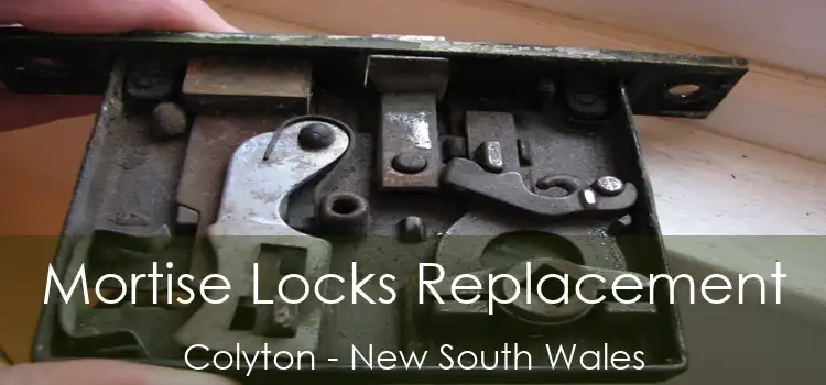 Mortise Locks Replacement Colyton - New South Wales
