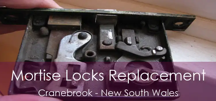 Mortise Locks Replacement Cranebrook - New South Wales