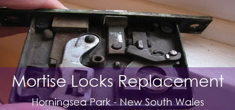 Mortise Locks Replacement Horningsea Park - New South Wales