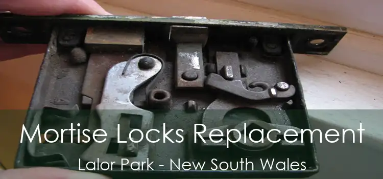 Mortise Locks Replacement Lalor Park - New South Wales