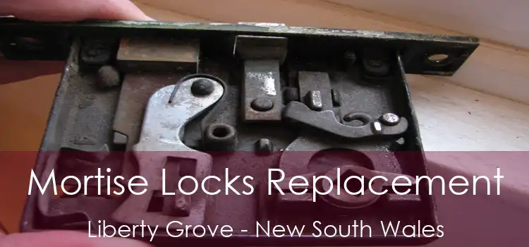 Mortise Locks Replacement Liberty Grove - New South Wales