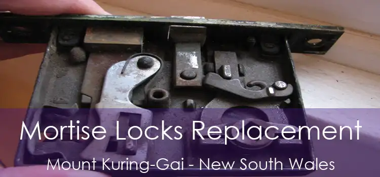 Mortise Locks Replacement Mount Kuring-Gai - New South Wales