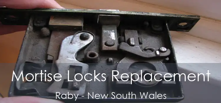 Mortise Locks Replacement Raby - New South Wales