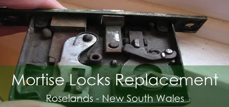 Mortise Locks Replacement Roselands - New South Wales