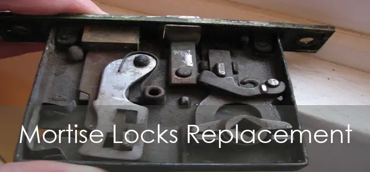 Mortise Locks Replacement