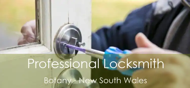 Professional Locksmith Botany - New South Wales