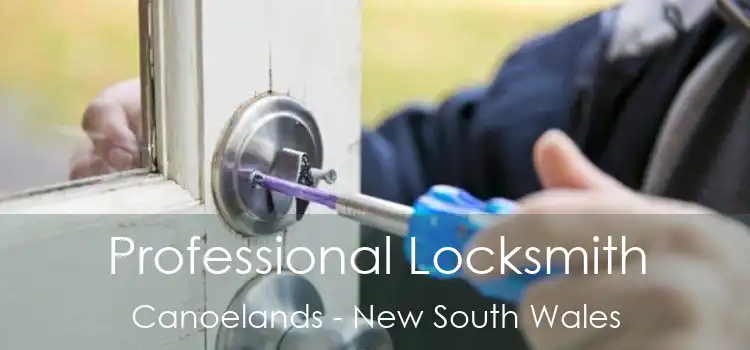 Professional Locksmith Canoelands - New South Wales